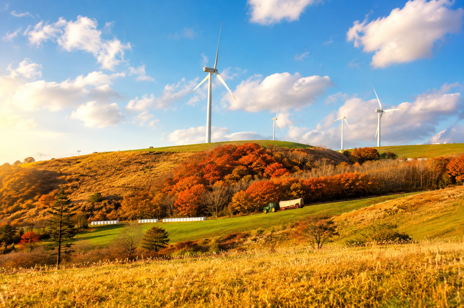 Daegwallyeong Sky Ranch&Samyang Ranch + Balwangsan Cable Car&Skywalk