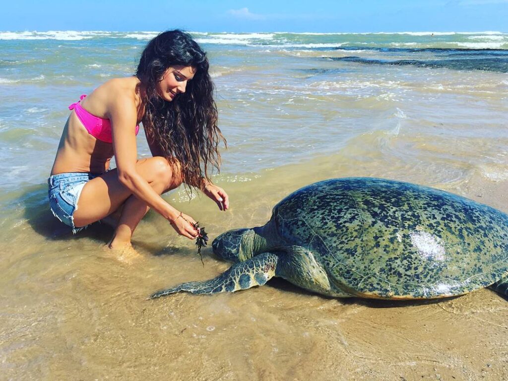 Sri Lanka Yala Safari and Galle Fort Private Day Tour