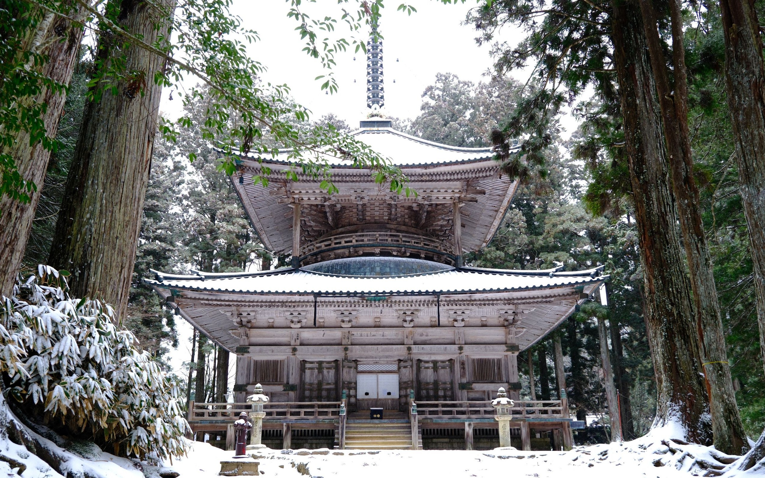 Koyasan One-day UNESCO site & Hidden Gems Tour