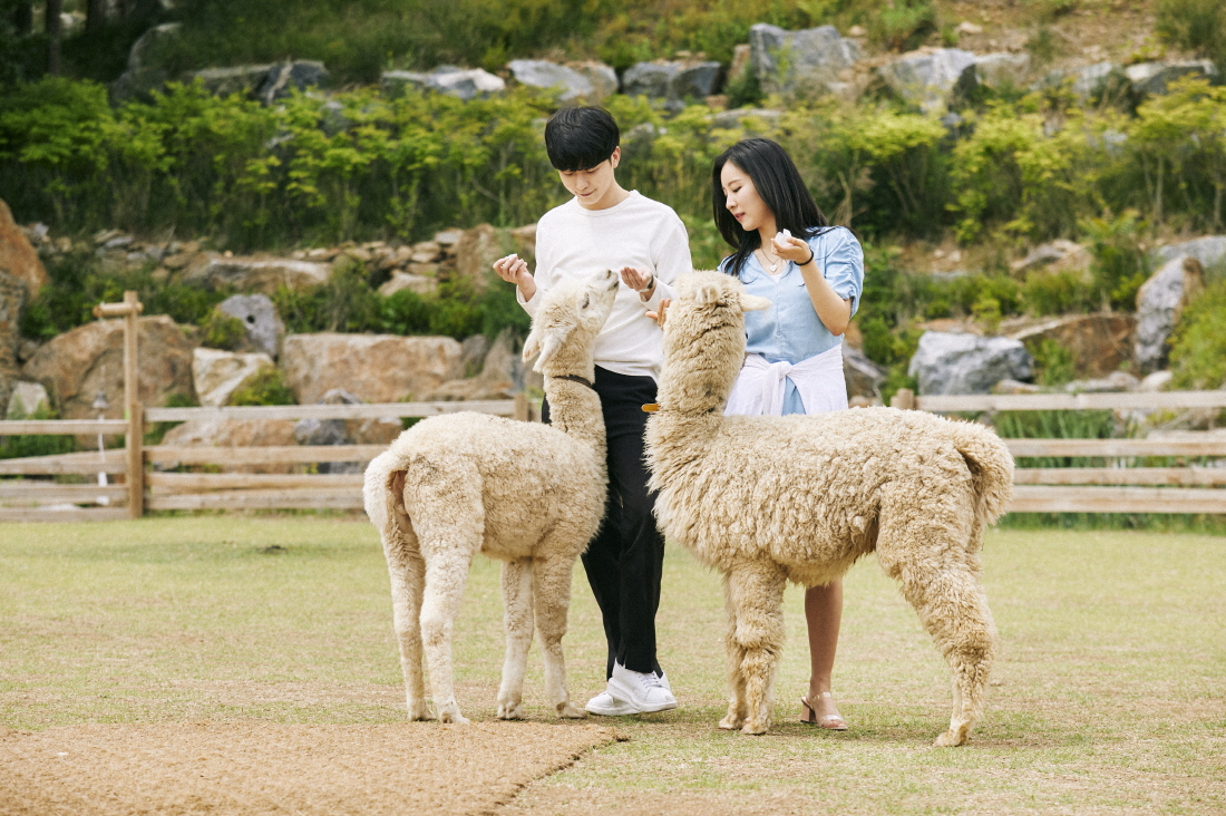 風景如畫的景點,讓您輕鬆捕捉難忘的旅行時刻。 風景如畫的景點,讓您輕鬆捕捉難忘的旅行時刻。