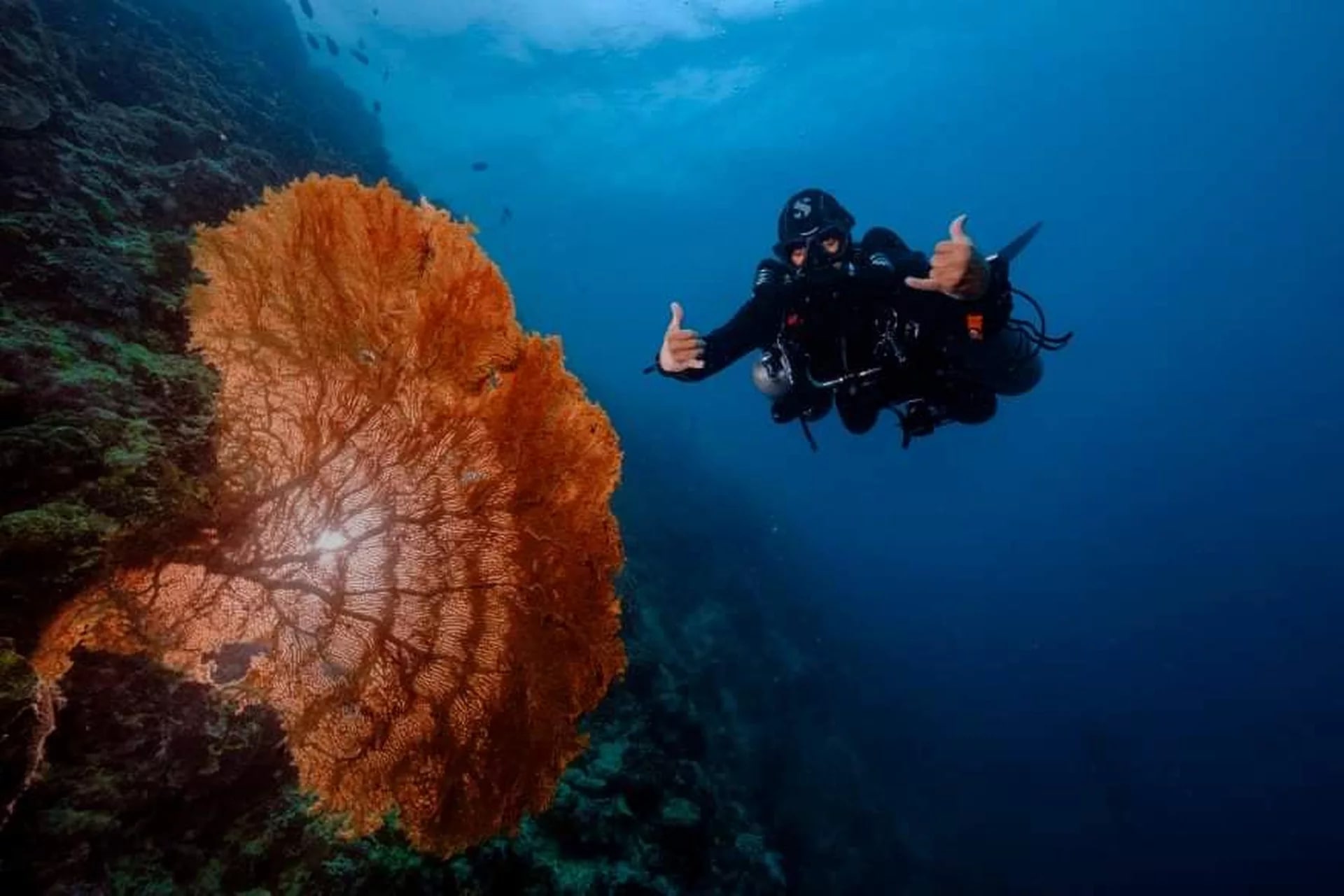 墨寶 PADI 五星潛水中心夜間潛水體驗