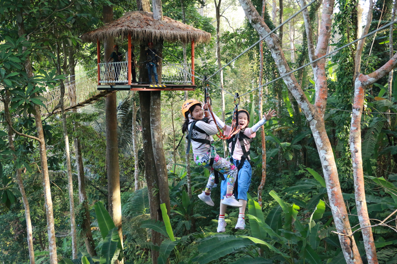 Zipline 