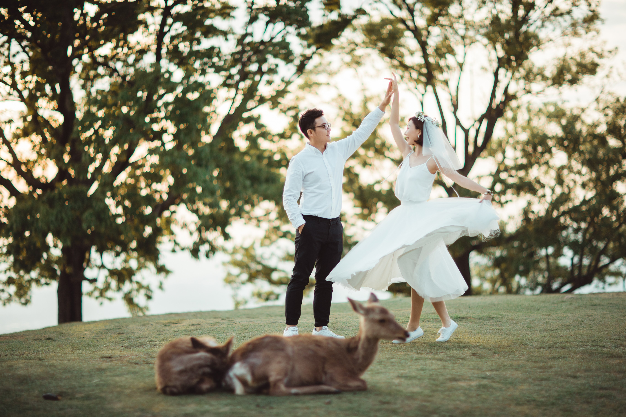 若草山 - 可以俯瞰奈良市全景的山丘,尤其是在日落時分,景色非常浪漫。 若草山 - 可以俯瞰奈良市全景的山丘,尤其是在日落時分,景色非常浪漫。