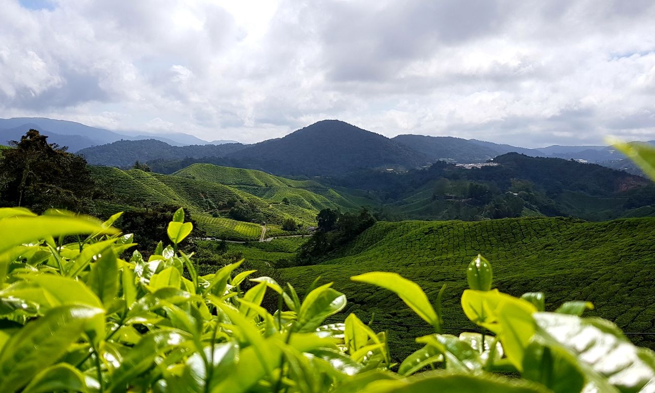 日萊峰（Gunung Jasar Mountain）徒步之旅