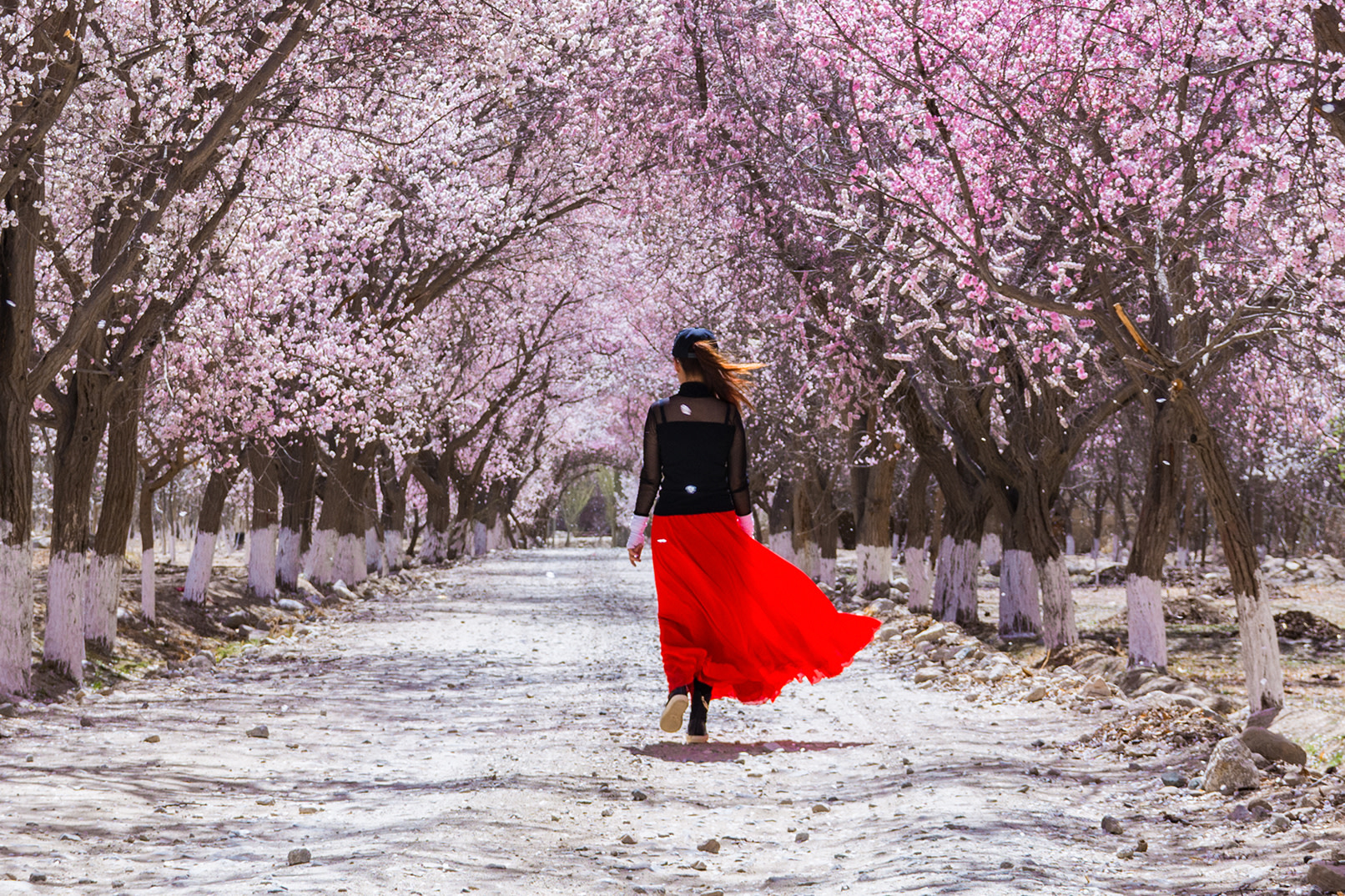 Памир в цвету | 5 дней 4 ночи из Кашгара