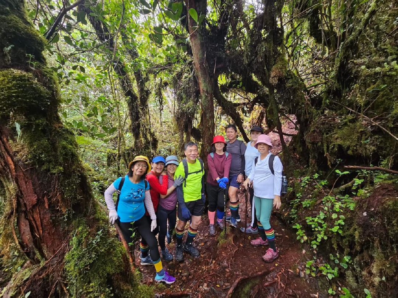 The Enchanted Trail of Coral Hill