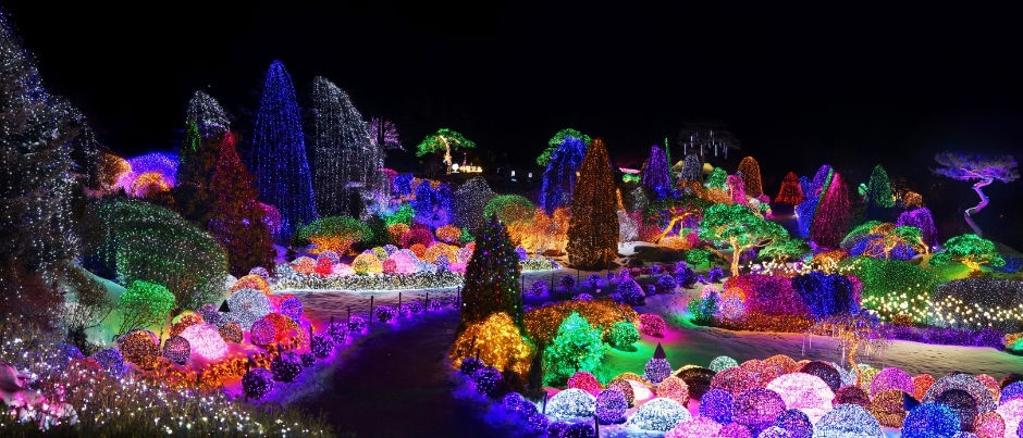 晨靜樹木園 + 樂高樂園或洪川雪橇世界