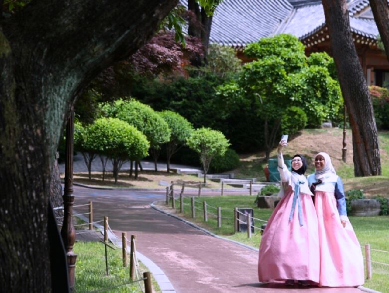 全州韓屋村 + 韓服體驗／長泰山 黃金水杉林 一日遊 (首爾 / 釜山出發)