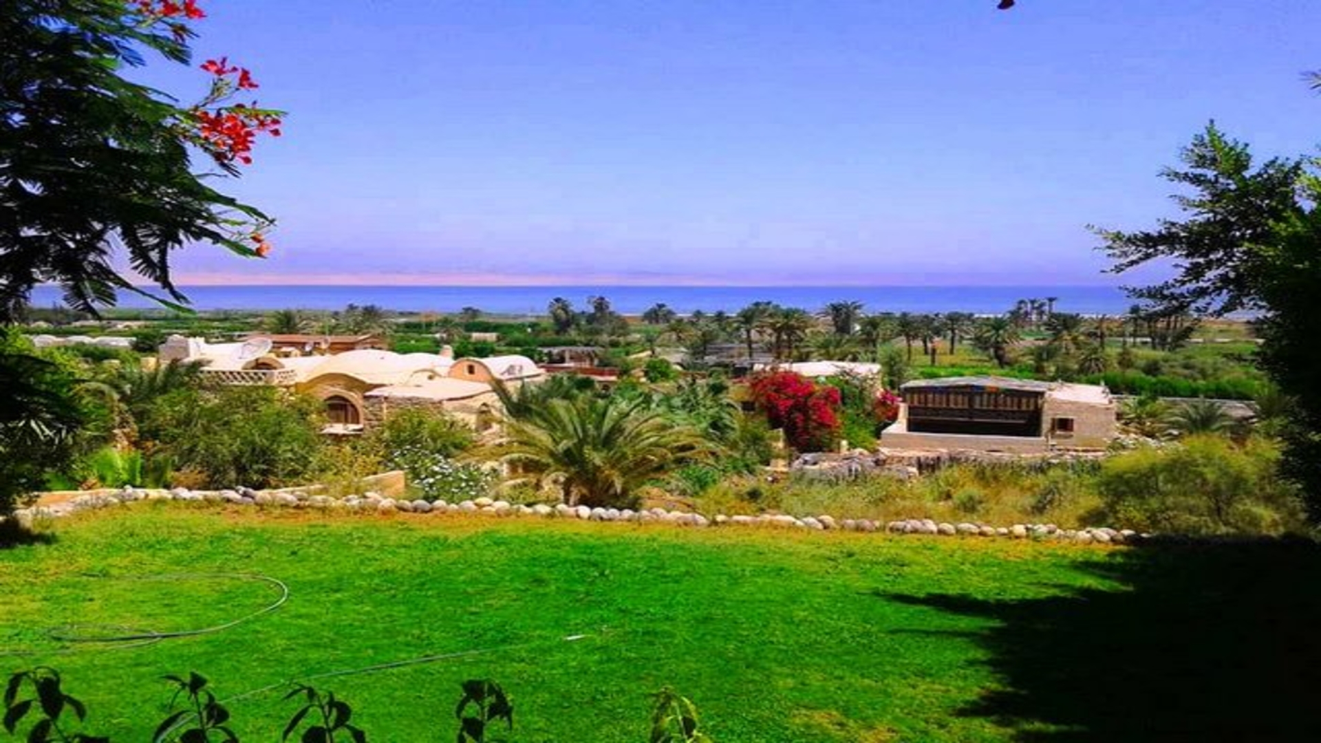 Trip to Fayoum, Egypt - 1 Day Tour