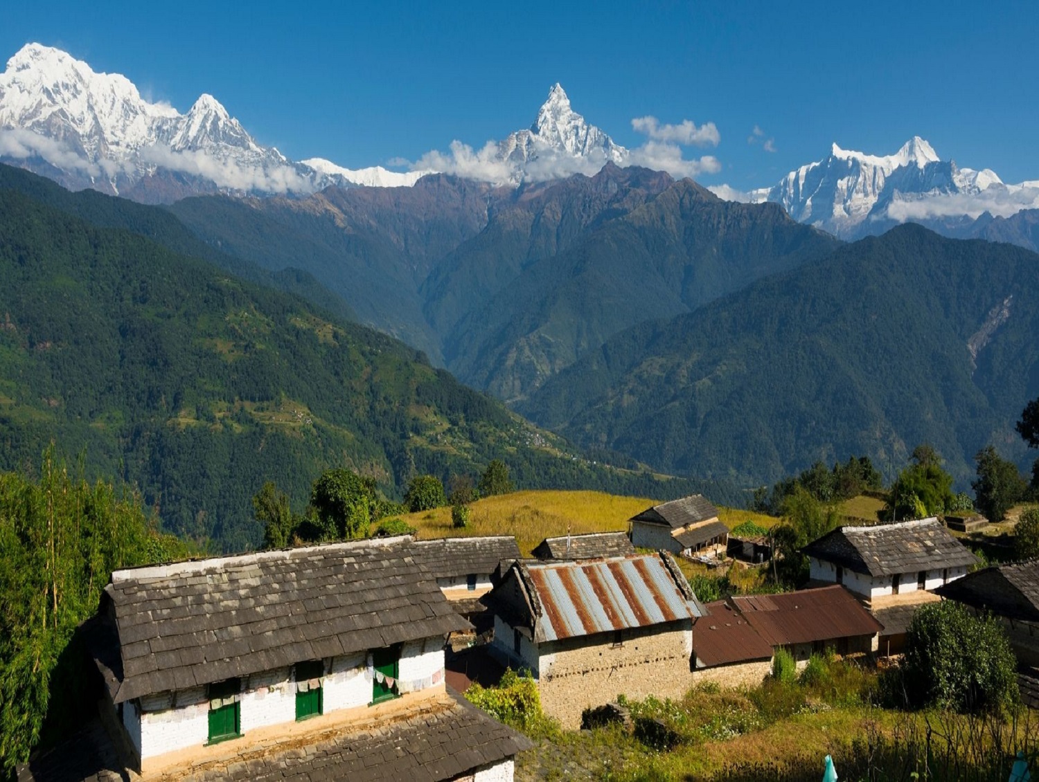 From Pokhara Day Hike with Annapurna Panoramic View