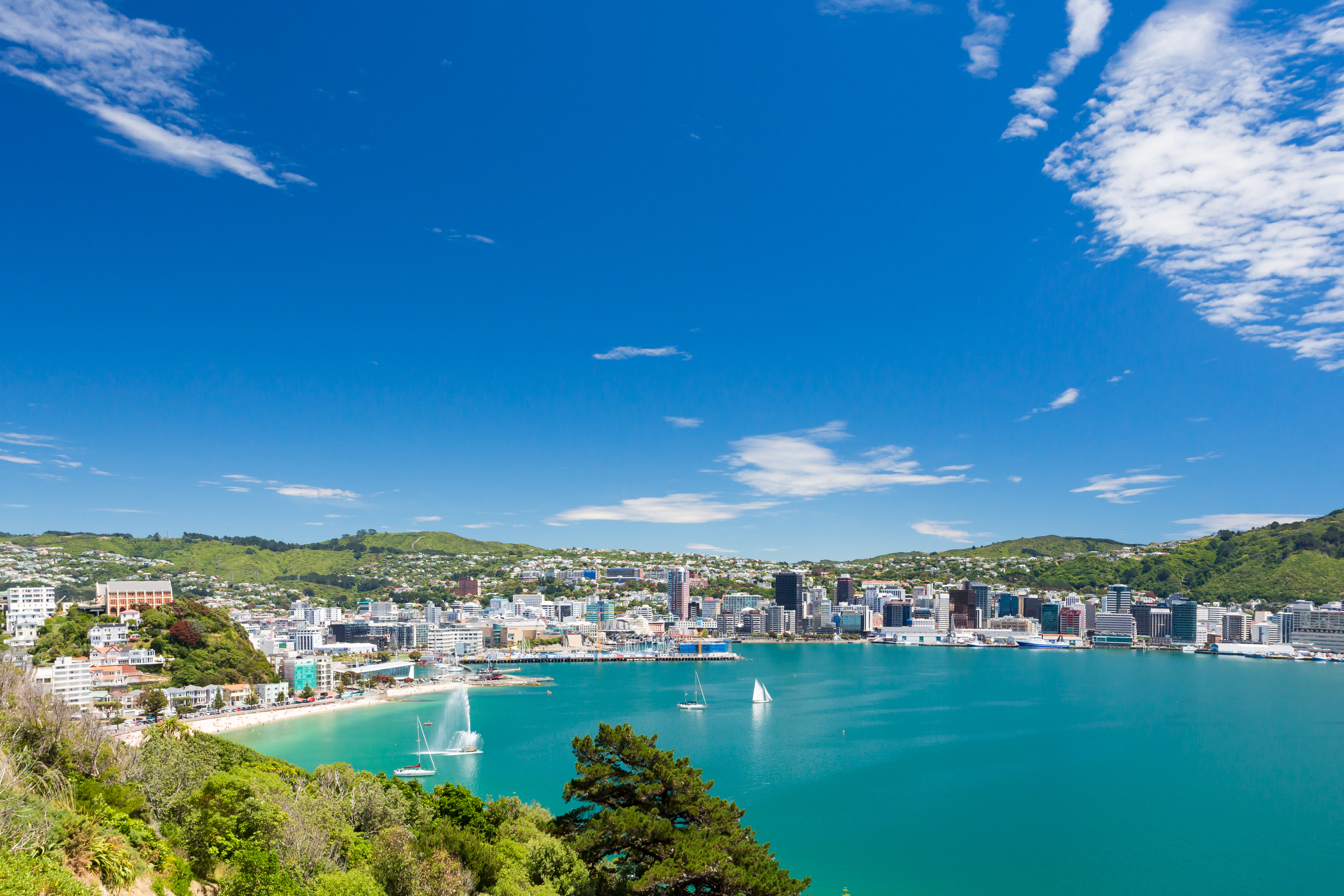 Wellington City and Coastline Tour