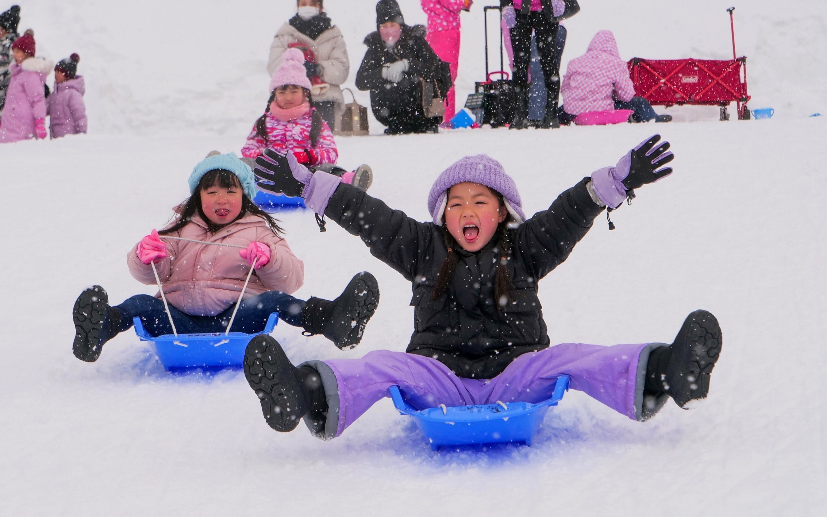 Gujo Hachiman & Bokka no Sato Full-Day Tour with Skiing & Onsen