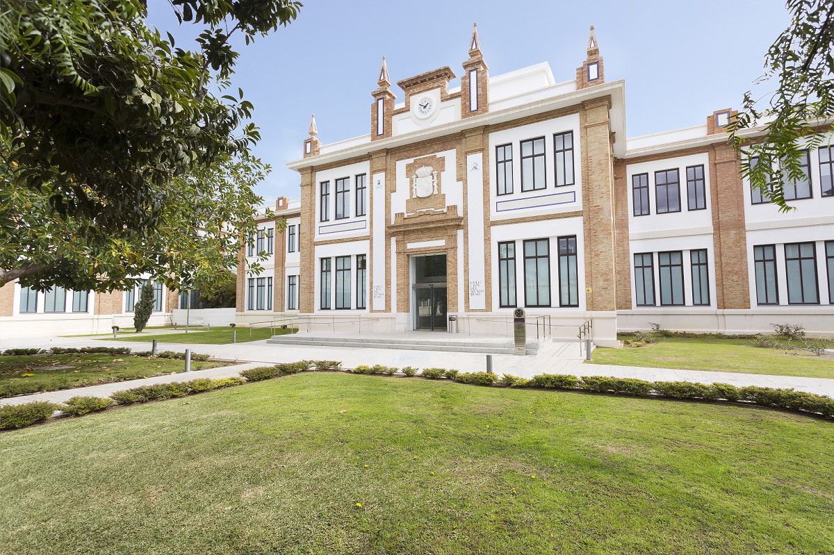 Collection of the Russian Museum Ticket in Málaga