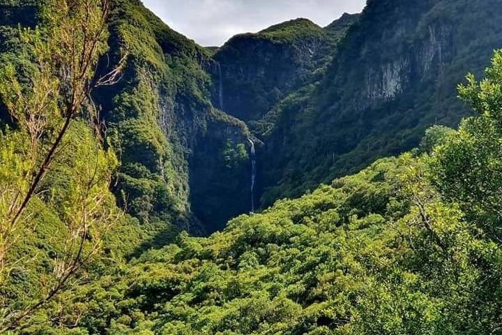 25 Fontes and Risco Levada Self-Guided Hike Transfer 