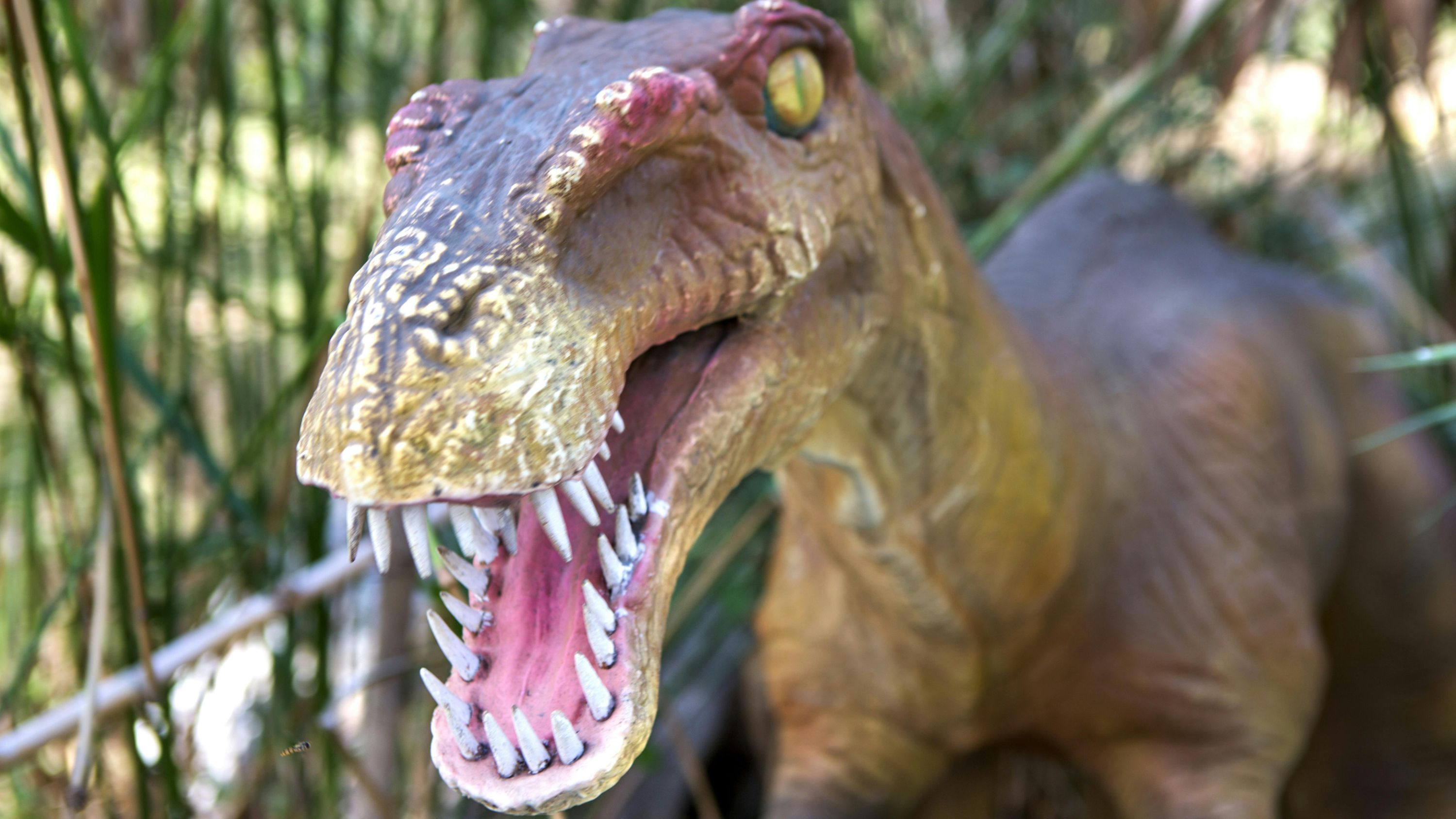 Dinopark Antalya ticket