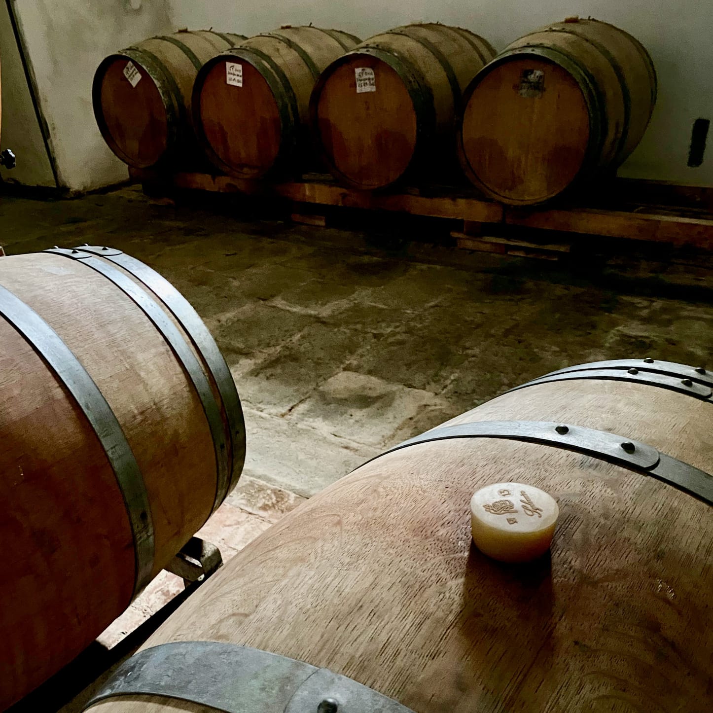 Tuscan Bites & Sips: Discover Tuscany Through Wine