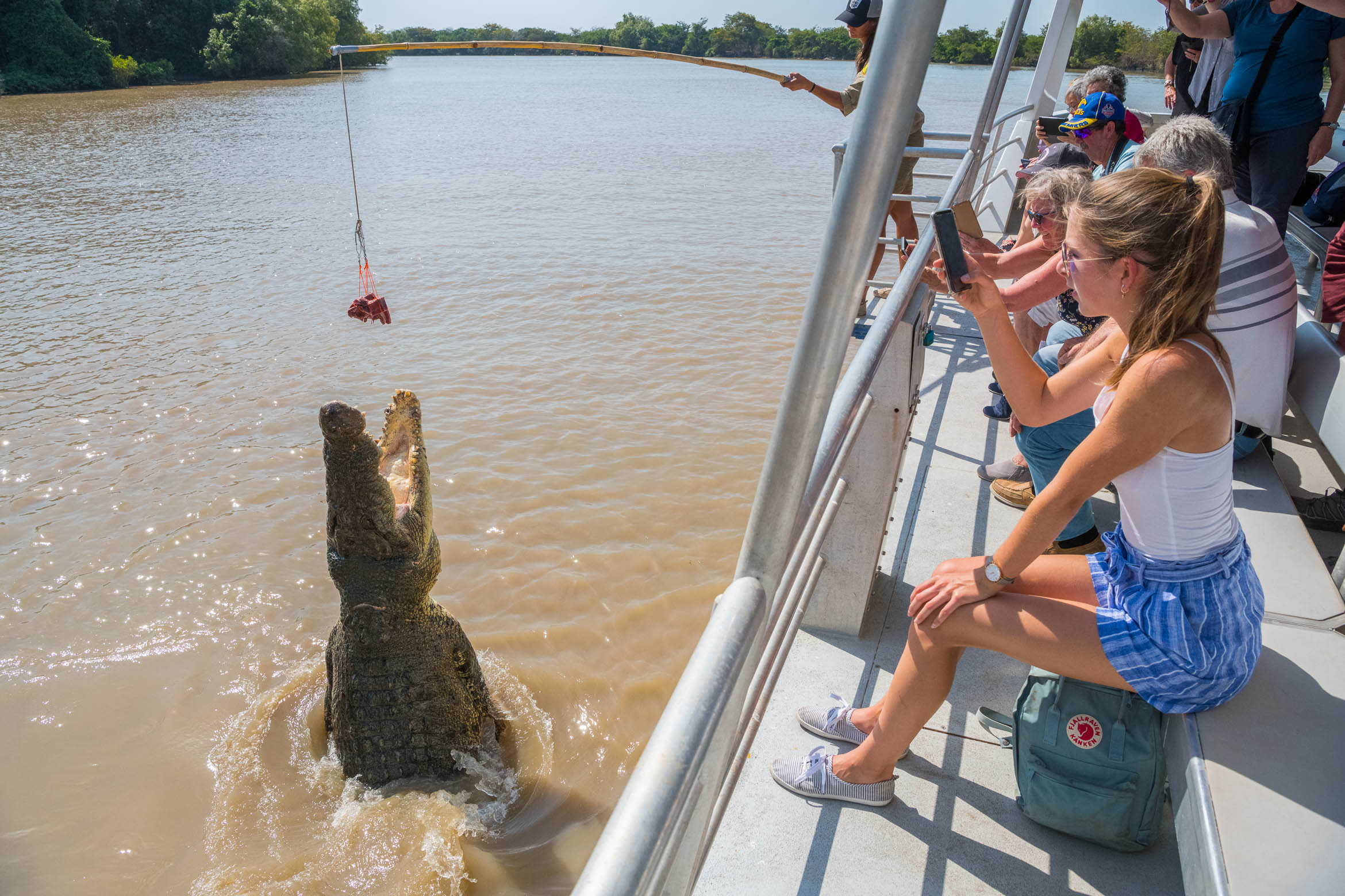阿德萊德河鱷魚跳1小時遊船巡航之旅