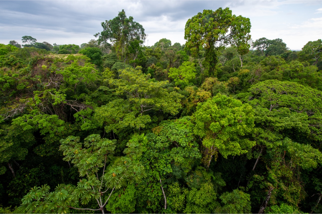 Manu Reserved Zone 7 Day Tour