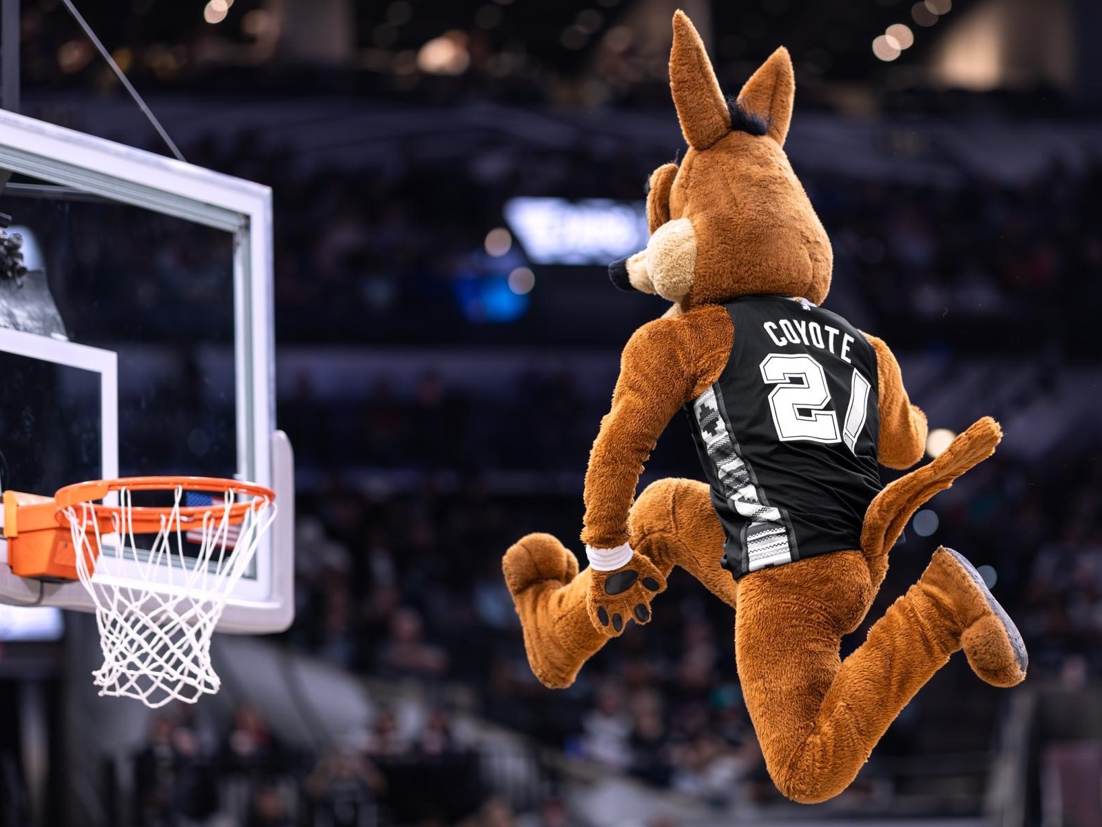 中場表演為馬刺隊的比賽體驗增添額外精彩! 中場表演為馬刺隊的比賽體驗增添額外精彩!