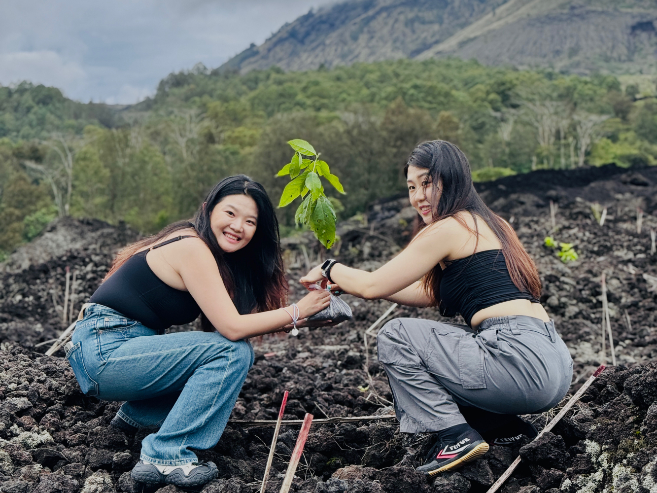 巴杜爾火山（Mount Batur）吉普車日出探險與植樹體驗