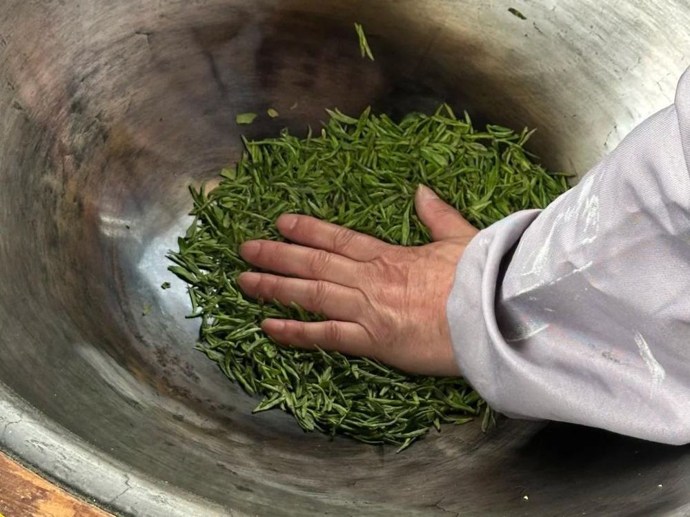 跟隨老師傅體驗古法炒茶