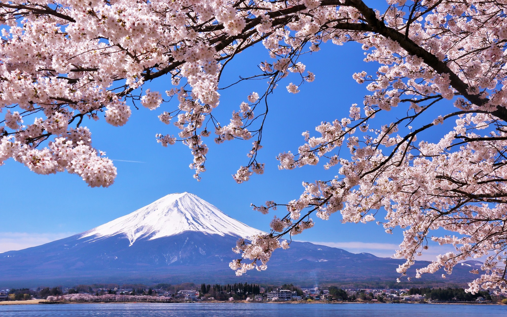 Mount Fuji Day Tour from Tokyo Ginza | Mount Fuji, Lake Kawaguchi, Gotemba Outlet, Konohana no Yu Onsen