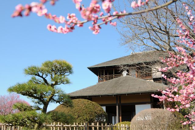 偕樂園門票（茨城）