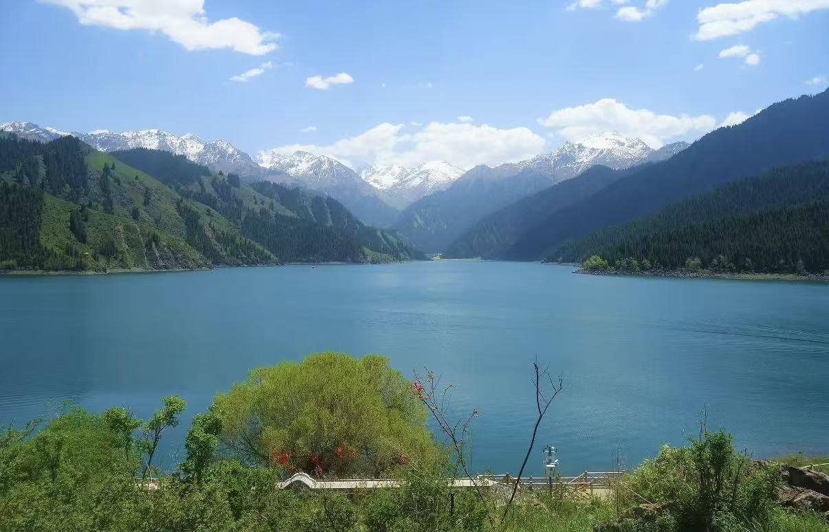 開闊靜謐的天山天池湖面澄澈碧藍，遠方群峰覆著皚皚白雪，兩側山坡鋪滿濃密翠綠雲杉。前景草木繁茂，綠樹紅花點綴其間，藍天白雲相映，山水層次分明，盡顯天池清幽治癒的自然盛景