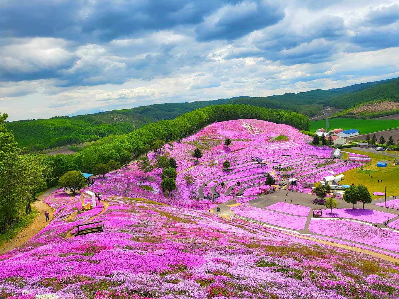 北海道芝櫻限定 網走市客製化包車一日遊｜網走出發