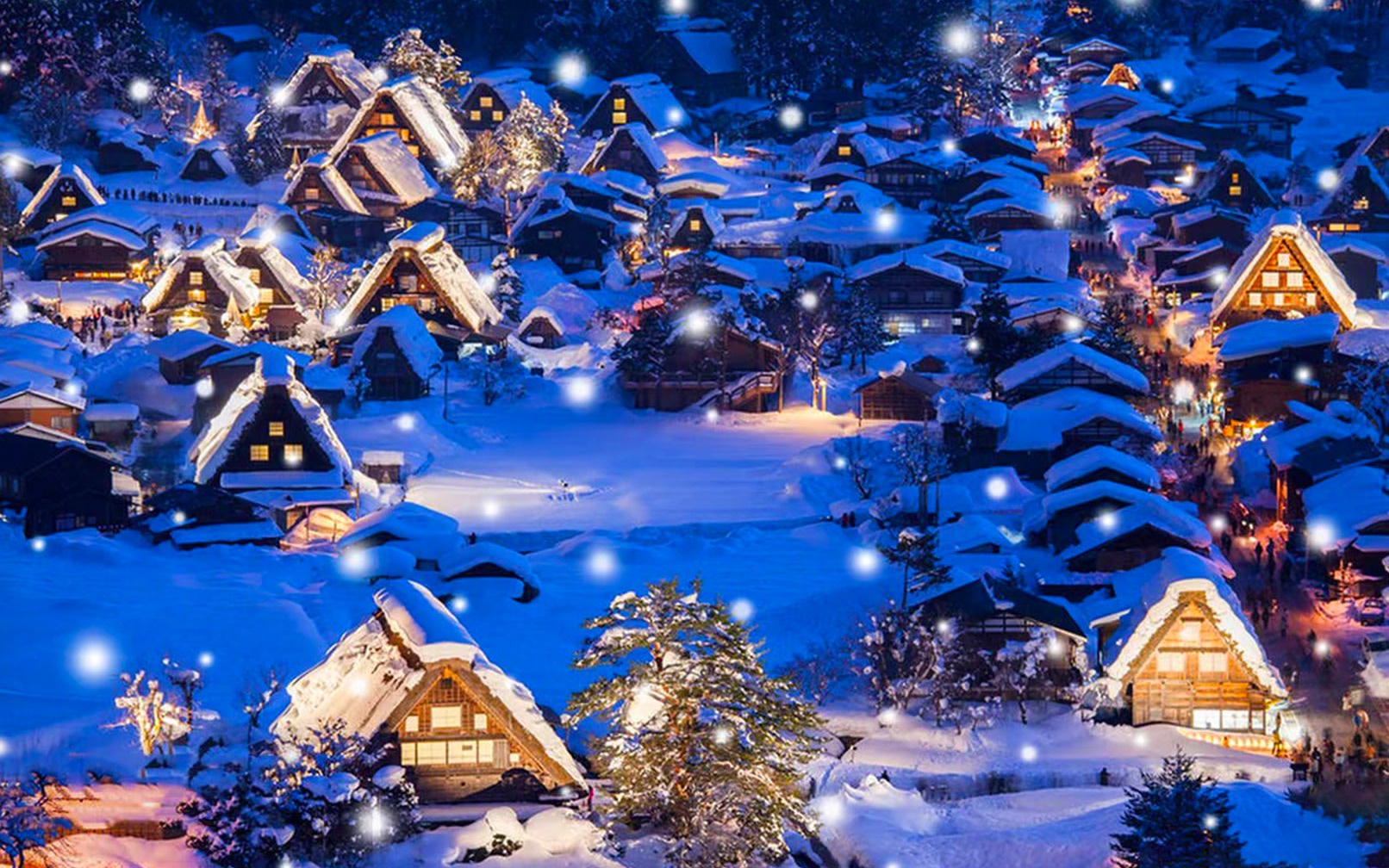 [Shirakawa-go Light-Up 2026] Takayama Old Town & Shirakawa-go Light-Up Day Trip (4-9 person small group tour)