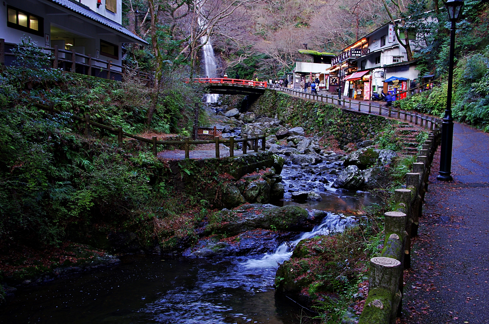 期間限定 淀川背割堤樱花祭  | 漫步1.4km櫻花隧道・宇治・勝尾寺・箕面大瀑布 