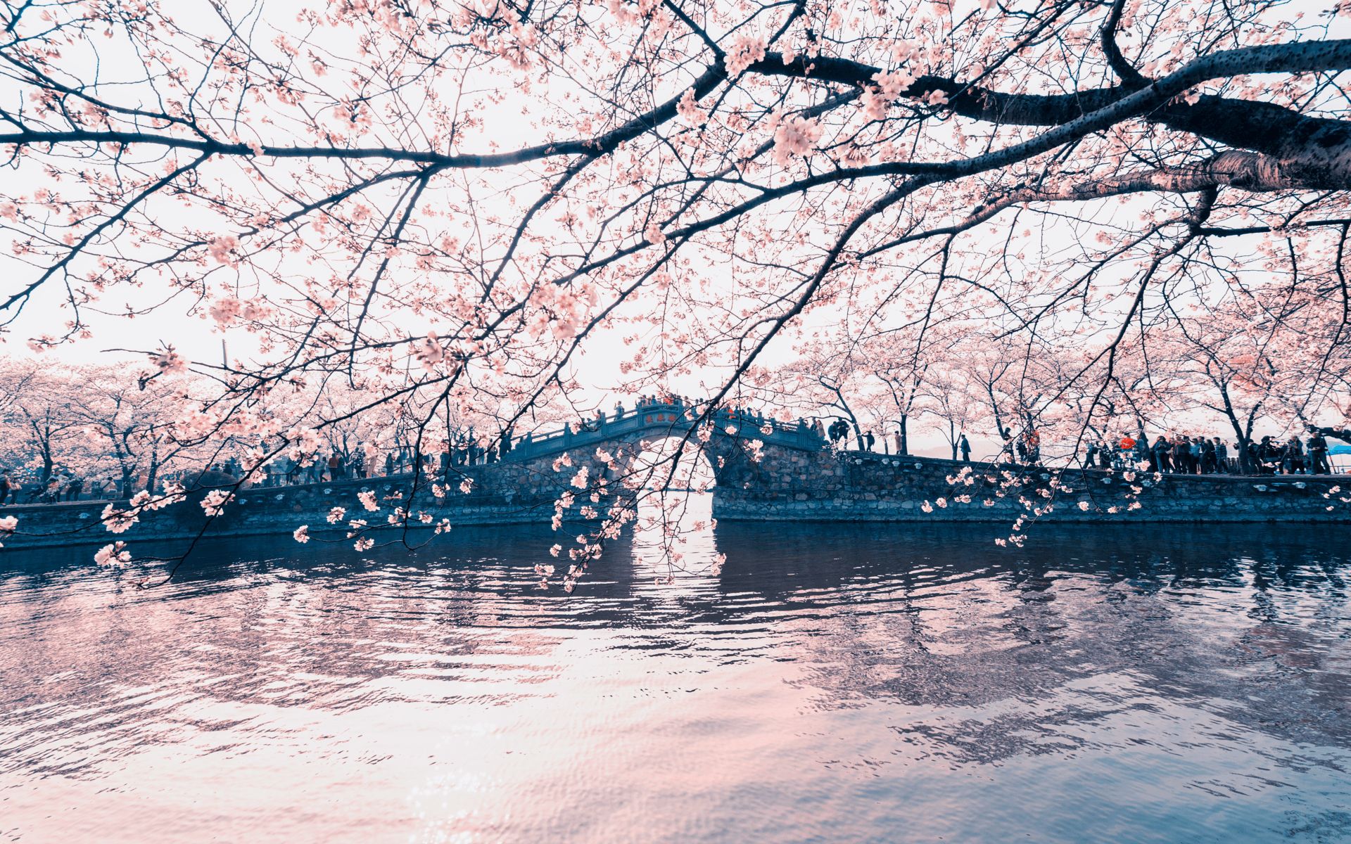 黿頭渚：作為“太湖第一名勝”，黿頭渚以春日櫻花和秋日紅葉聞名。長春橋畔碧水映樓閣，構成經典江南畫卷。郭沫若“太湖佳絕處，畢竟在黿頭”的詩句，精準道出了此地的秀麗景緻。