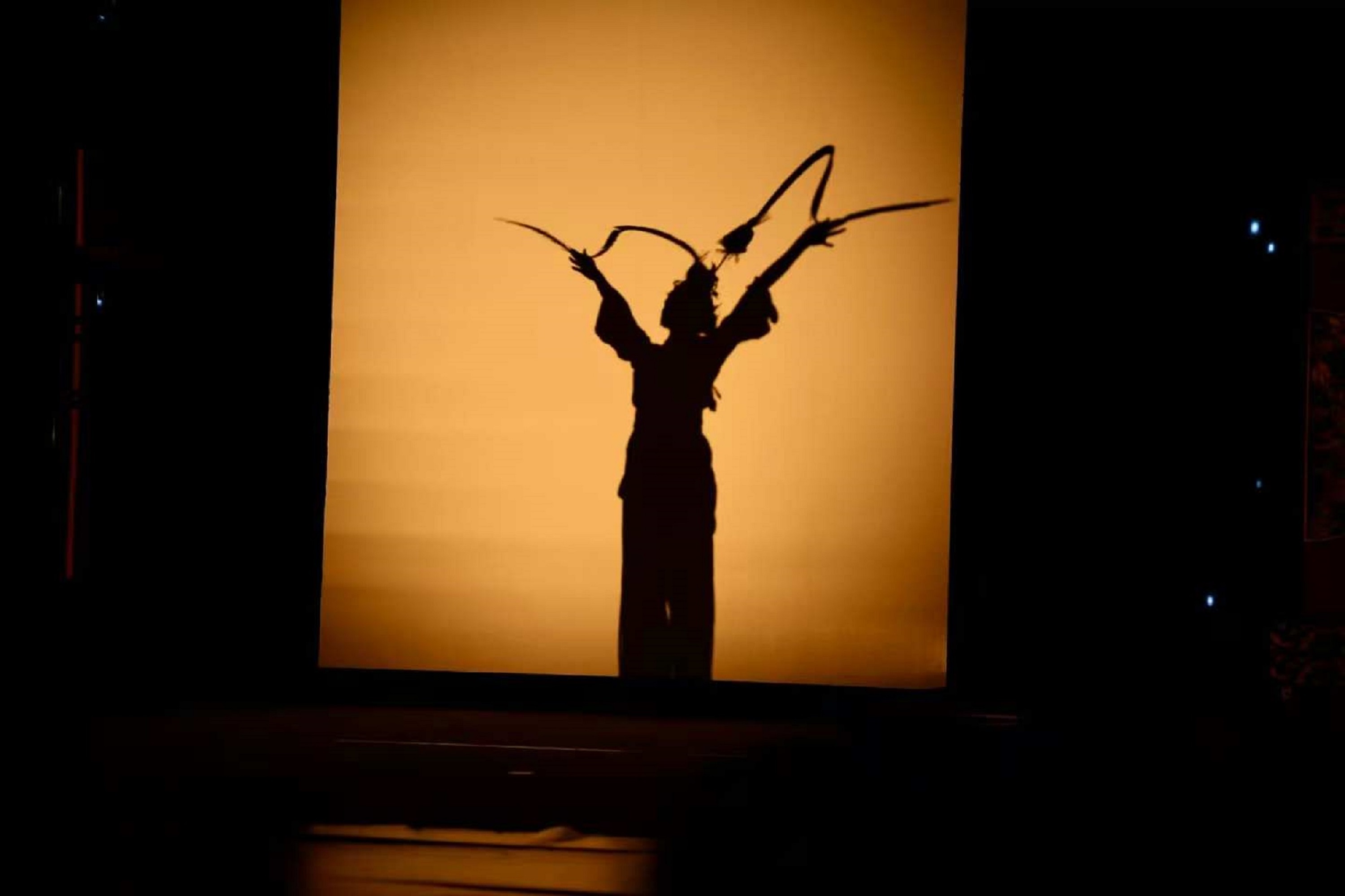The performance adds a unique flavor of traditional art to the repertoire, allowing the audience to feel the charm of the fusion of different traditional arts.