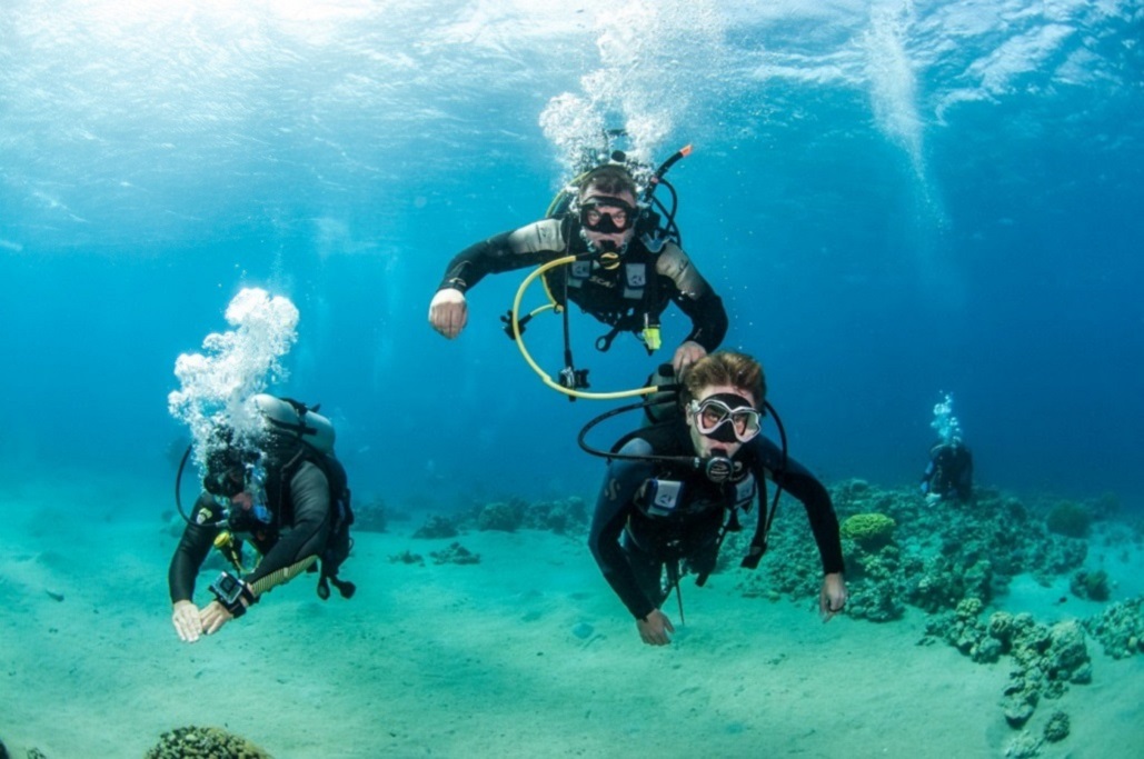紅海潛水體驗（含午餐和接送） - 埃及沙姆沙伊赫