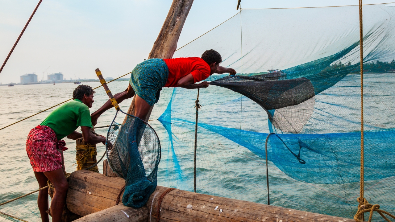From Cochin: 3-Night/4-Day Kerala Tour with Houseboat