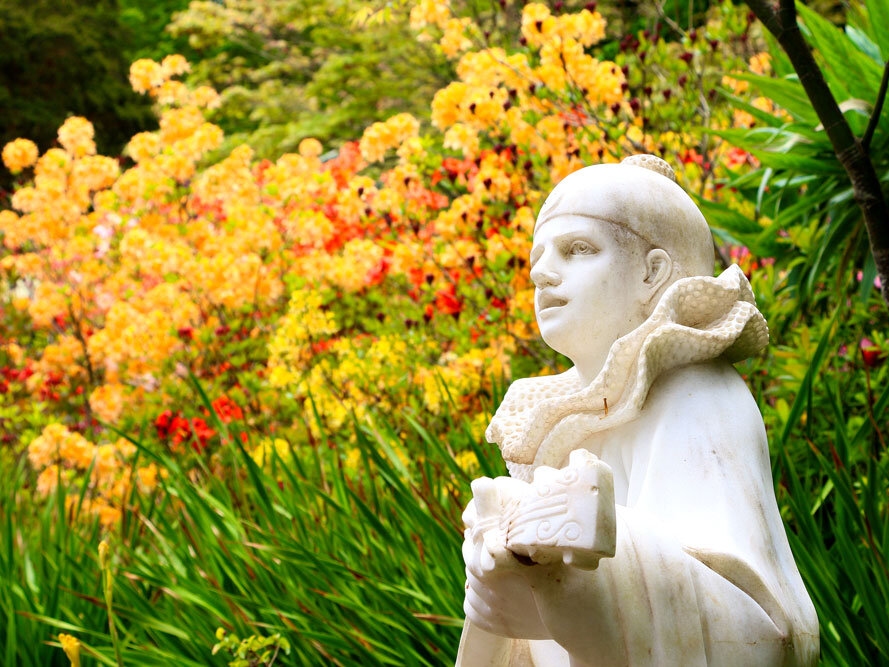 Mount Macedon One-Day Autumn Tour