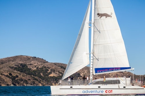 San Francisco Luxury Catamaran Bay Sunset Cruise Experience 