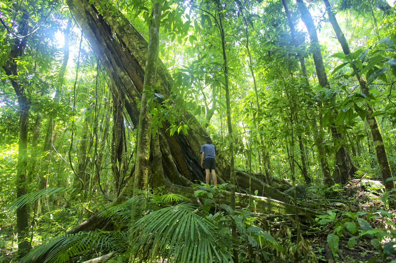 Mossman Gorge Daintree Experience