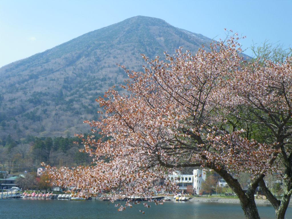 日光東照宮巴士一日遊（東京出發）