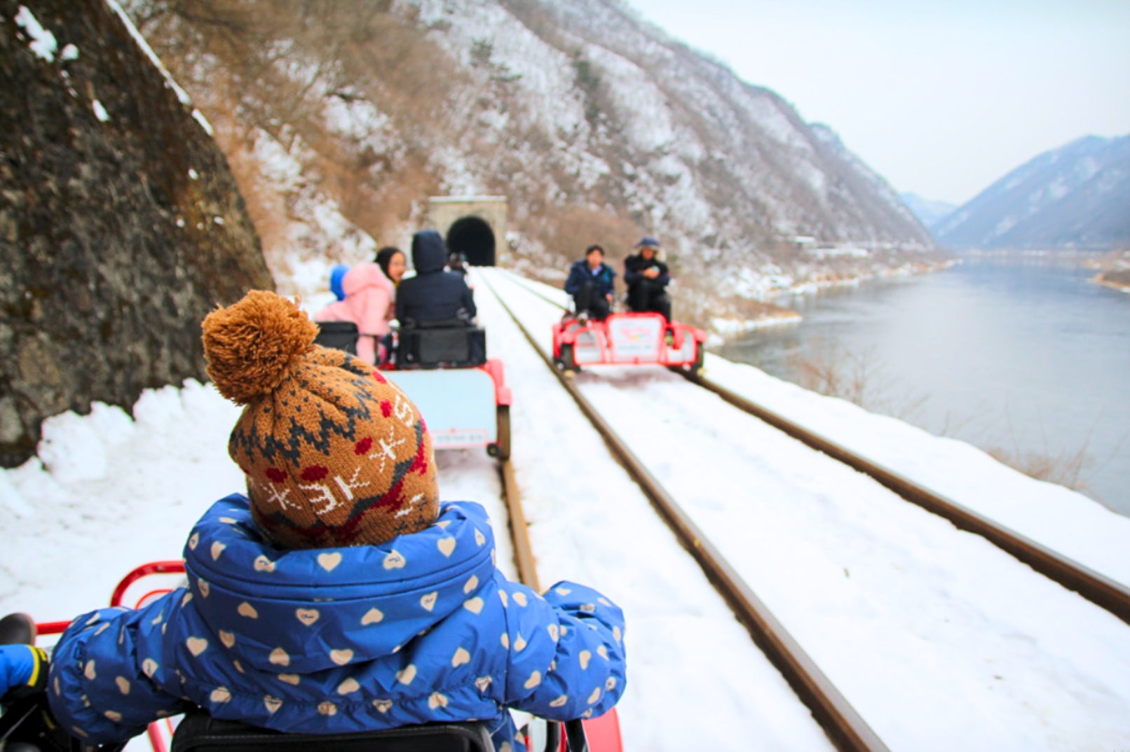 羊駝牧場 / 南怡島 / 江村鐵路自行車 / 晨靜樹木園 / 樂高樂園 /  塗鴉秀 / 猛男秀一日遊