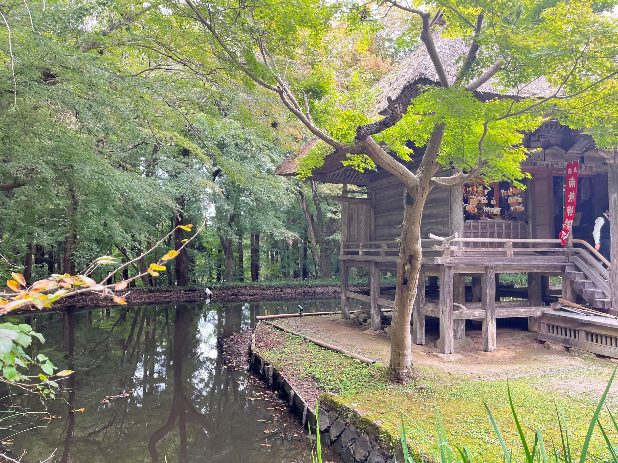 從仙台站出發的一日遊，前往鹽灶神社、日本三景之一的松島以及中尊寺