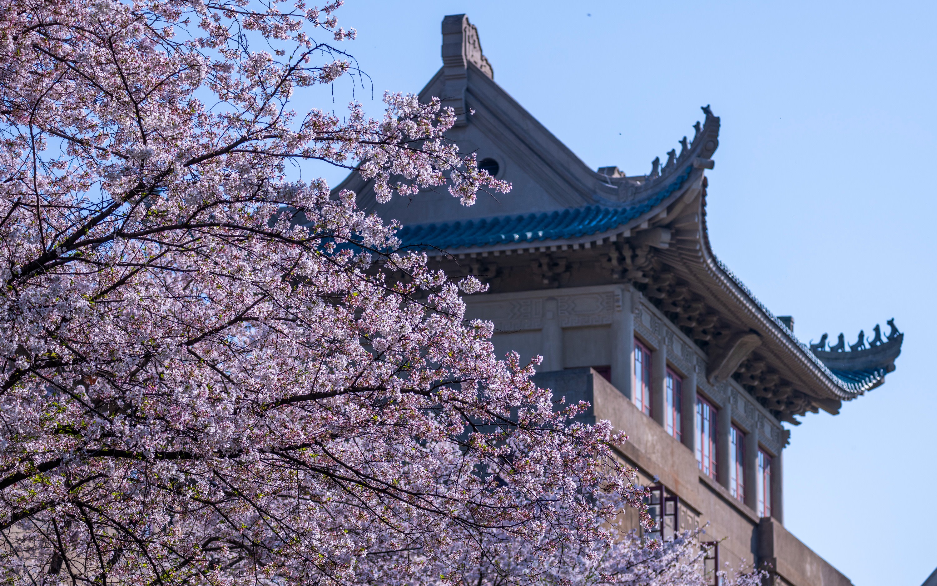 Wuhan City One-Day Private Car Charter