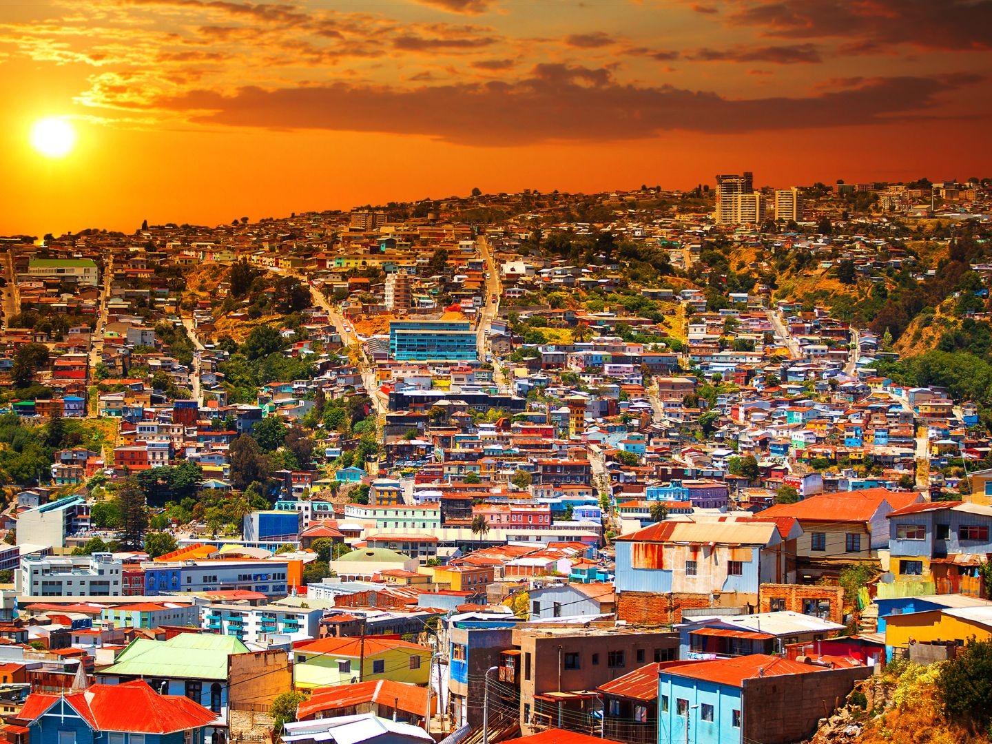 Viña del Mar & Valparaiso Full-Day Guided Tour