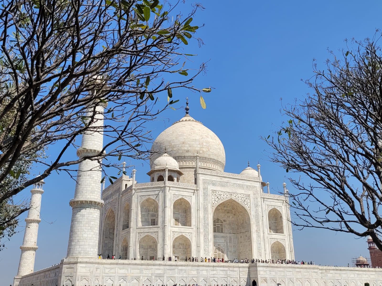 泰姬瑪哈陵 (Taj Mahal) 與阿格拉 (Agra) 一日遊（德里 (Delhi) 出發，多種選擇）