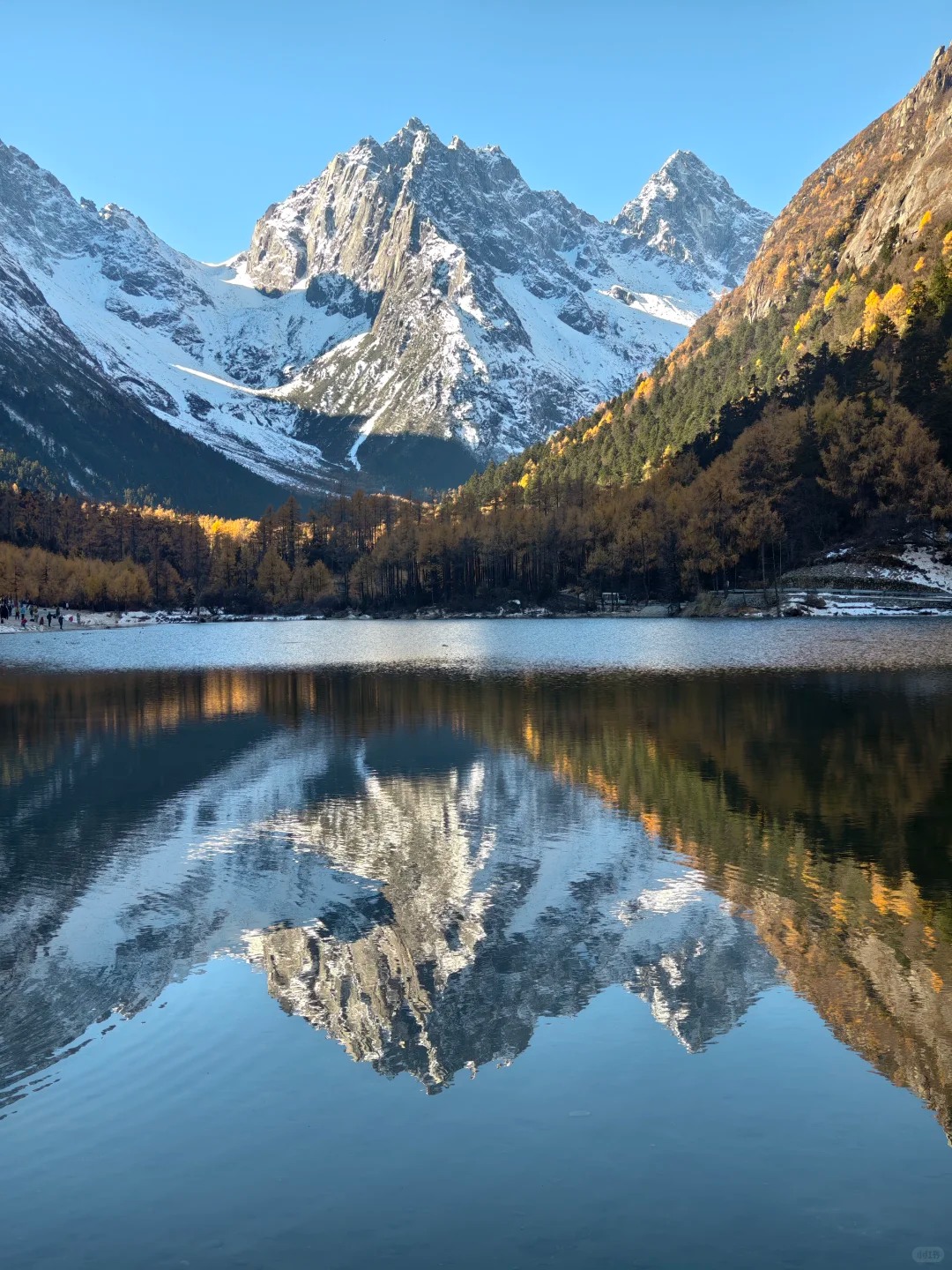 畢棚溝【磐羊湖】是一處海拔3676米的高山冰川湖泊,湖水澄澈如鏡,倒映著四周的雪山與森林。其名源於附近常有磐羊(岩羊)活動,為靜謐的湖面增添生機。湖畔棧道蜿蜒,秋日彩林如火,冬季冰封如鑑,是攝影與靜思的絕佳之地。 畢棚溝【磐羊湖】是一處海拔3676米的高山冰川湖泊,湖水澄澈如鏡,倒映著四周的雪山與森林。其名源於附近常有磐羊(岩羊)活動,為靜謐的湖面增添生機。湖畔棧道蜿蜒,秋日彩林如火,冬季冰封如鑑,是攝影與靜思的絕佳之地。