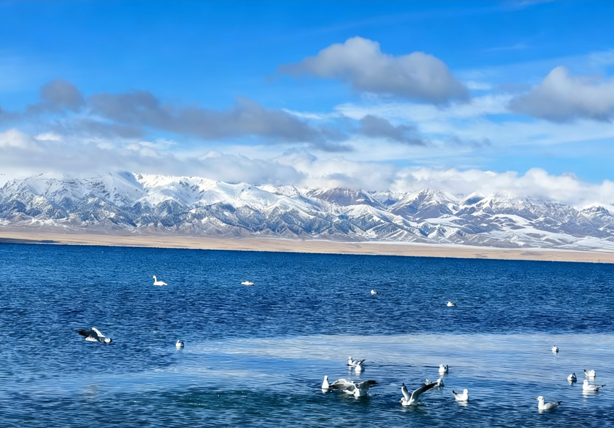 Sayram Lake is known as the last tear of the Atlantic and is also the highest alpine cold water lake in Xinjiang. Only in winter can you see the pure blue ice and bubble ice here.