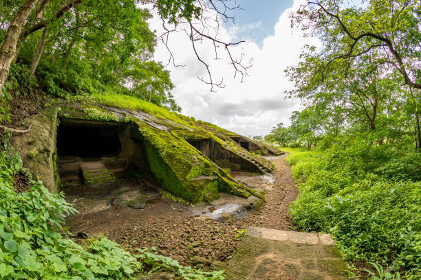 坎赫里石窟和冥想中心 (Kanheri Caves and Meditation centre)