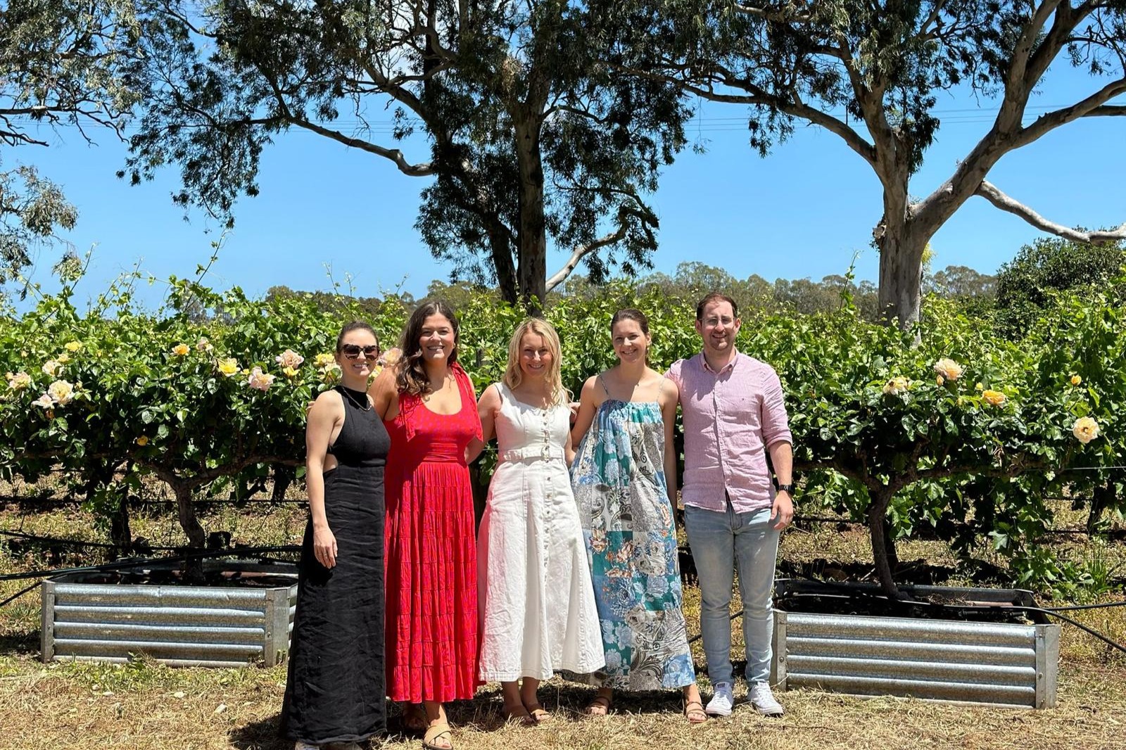 McLaren Vale & Hahndorf Tour