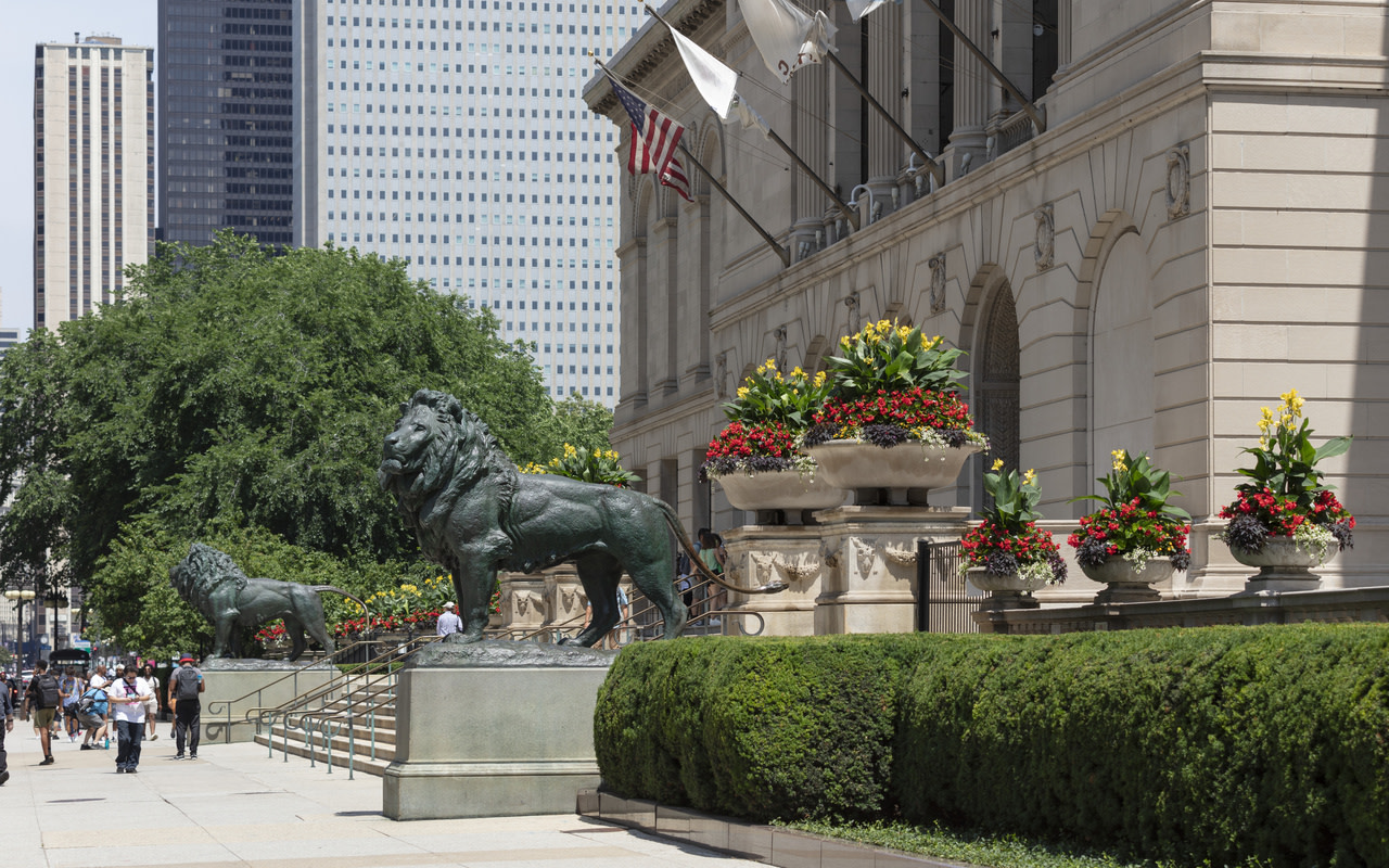 The Art Institute of Chicago Ticket