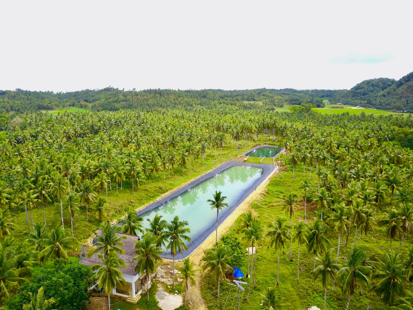 Siargao Wakepark 宽板滑水体验门票